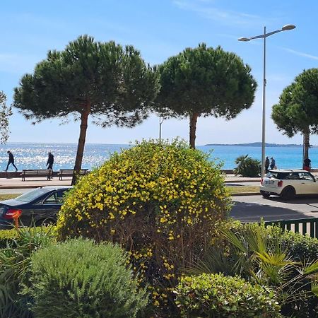 Studio De La Plage - Mer, Terrasse Et Garage 滨海卡涅 外观 照片